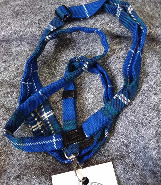 Lanyard