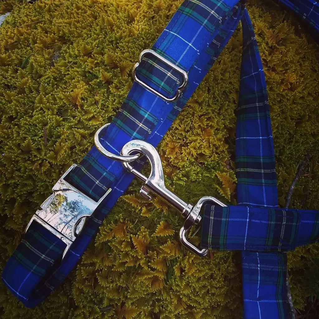 Tartan Dog Collar~Metal Clasp
